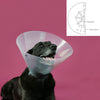 Collar Isabelino para Perros KVP Betsy Transparente (45-56 cm)