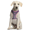 Arnés para Perro Wonder Woman Rosa S/M