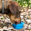 Botella con Depósito de Agua y Comida para Mascotas 2 en 1 Pettap InnovaGoods