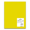 Cartulinas Iris Amarillo 50 x 65 cm (25 Unidades)