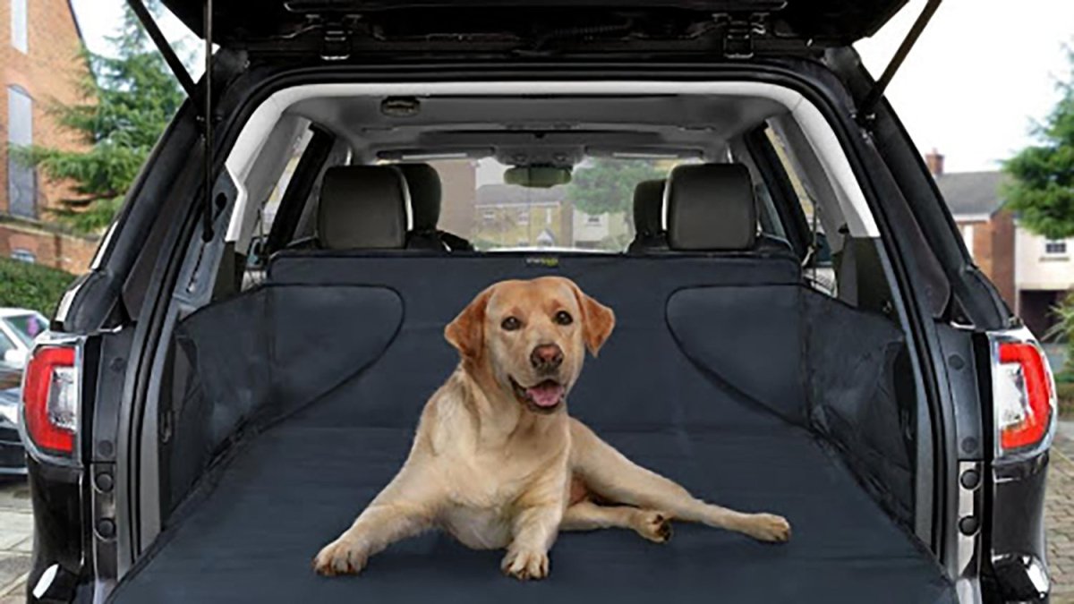 Protege maletero de coche para perro